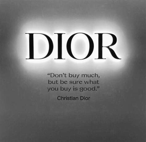 christian dior vision.